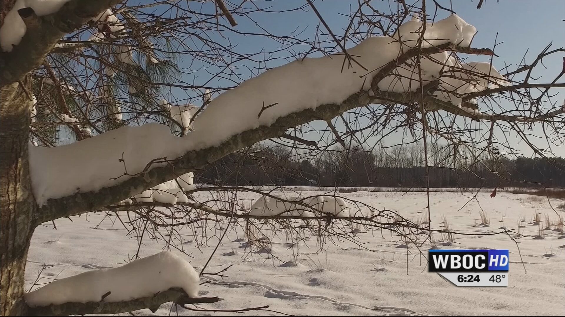 A Simple But Important Message: Don’t Leave Your Dogs Out In The Cold!